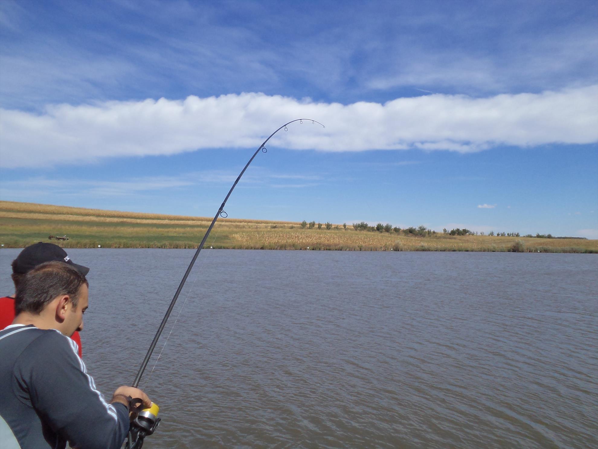 Testarea noilor bete - dsc01589.JPG